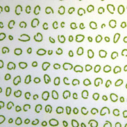 blinds-supermarket.com Billie Olive