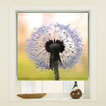 blinds-supermarket.com dandelion