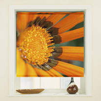blinds-supermarket.com golden delight