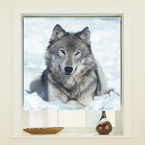 blinds-supermarket.com lone wolf