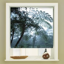 blinds-supermarket.com palm ridge