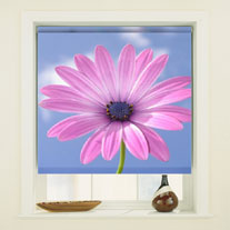 blinds-supermarket.com pink daisy