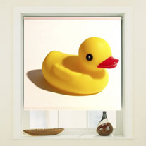 blinds-supermarket.com quack quack