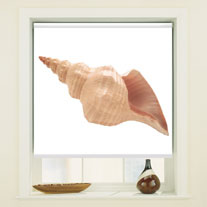 blinds-supermarket.com sea shell
