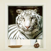 blinds-supermarket.com snow tiger