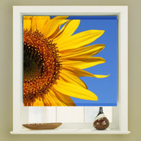 blinds-supermarket.com sunflower