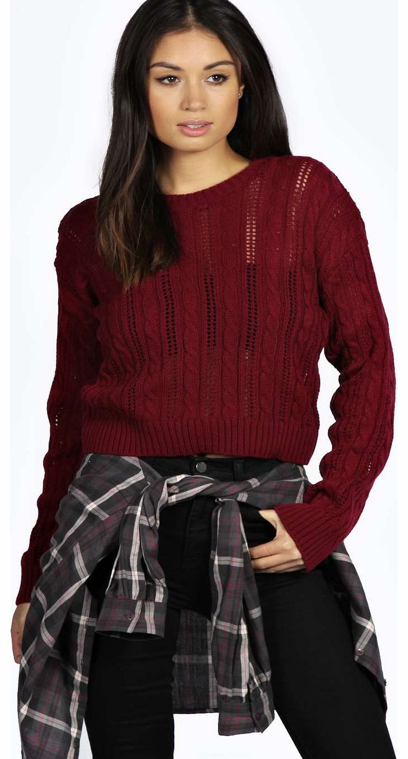 Anna Crop Cable Jumper - wine azz18977