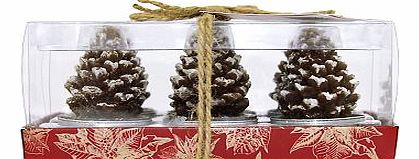 Boots Pinecone Tealights 6 10178066
