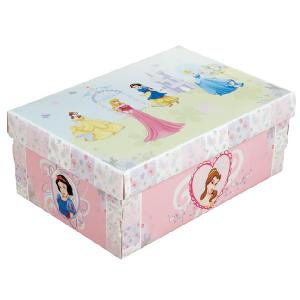Born To Play Disney Princess Large Card Storage