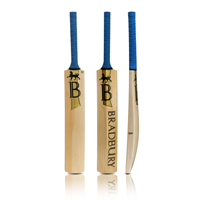 M-Series 1 Hundred Cricket Bat.