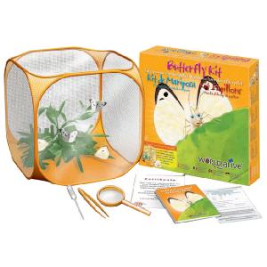 Brainstorm World Alive Butterfly Kit