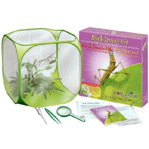 Brainstorm World Alive Stick Insect Kit