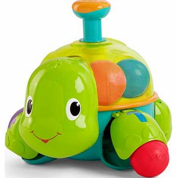 Having a Ball Drop & Spin Turtle