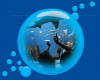 SEA LIFE Centre - 50% Off - After