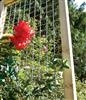 Brooklyn Galvanised Trellis: (2x) 0.6m