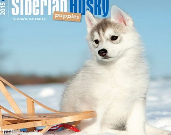 BrownTrout Publishers Siberian Husky Puppies 2015 Wall Calendar