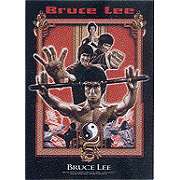 Bruce Lee Dragons Fury Textile Poster