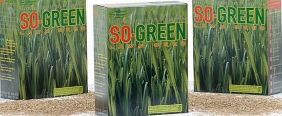 bsh So-Green Lawn Seed 500g