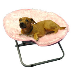Designer Bed/Chair