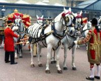 Buckingham Palace - Royal Mews Admission Senior