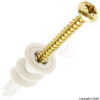 BULK 35mm Nylon Redi-Driva Cavity Plugs Pack of 25