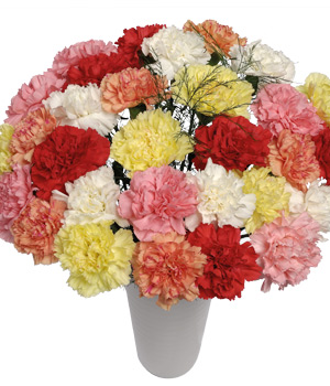 Bunches 30 Classic Carnations