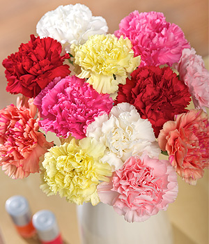 Bunches.co.uk 12 Classic Carnations FC12