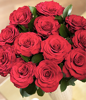Bunches.co.uk 12 Red Roses SDCR