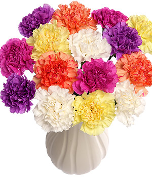 Bunches.co.uk 15 Funky Carnations FUNK15