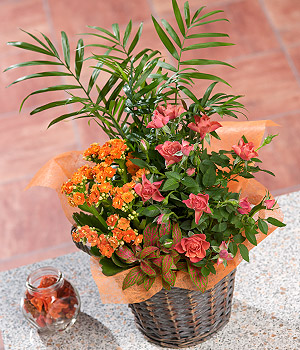 Bunches.co.uk Autumn Flower Basket PAFB