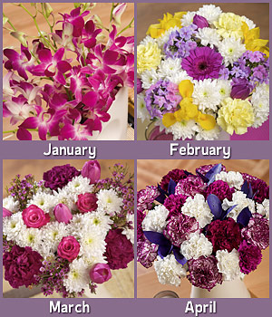 Bunches.co.uk Flowers for a Year FFAY