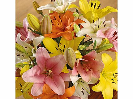 Bunches.co.uk Luxury Lilies FMLX