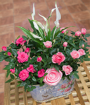 Bunches.co.uk Mothers Day Planter PMDLP