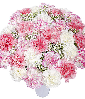 Bunches.co.uk Special Bouquet XL FPWGXL