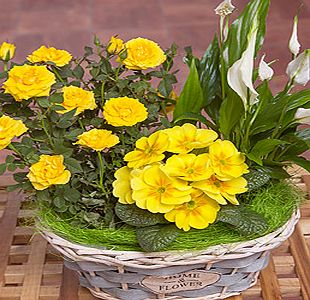 Bunches.co.uk Springtime Flower Basket PEFB