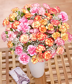 Bunches.co.uk Summer Spray Carnations FSPRY