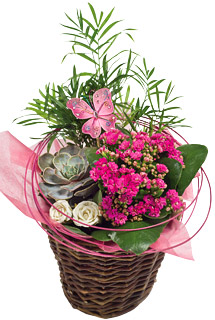 Bunches Flutterby Basket