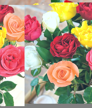 Bunches Mixed Roses
