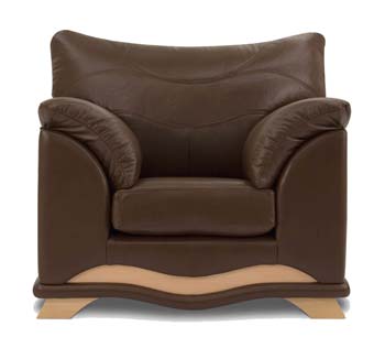 Buoyant Upholstery Eagle Amy Leather Armchair