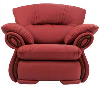Buoyant Upholstery Eagle Marenda Leather Armchair