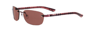 Burberry 9441s Sunglasses