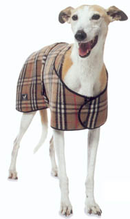 Classic Check - 65cm (26")