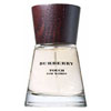 Burberry Touch - 100ml Eau de Parfum Spray