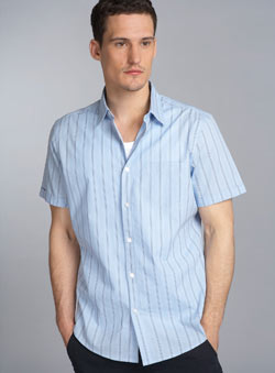 Blue Stripe Short Sleeve Fitted Shirt