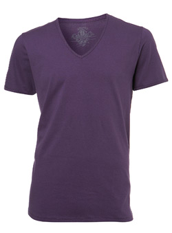 Purple Deep V-Neck T-Shirt