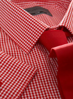 Red Gingham Slim Shirt With Tie