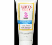 Burts Bees Intense Hydration Cream Cleanser -