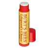 Burt`s Bees Lips - Lifeguard`s Choice Lip Balm 3.4gr