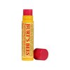 Burt`s Bees Pomegranate Lip Balm - 0.15oz