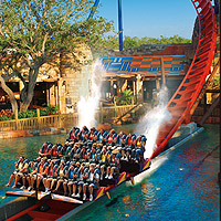 Busch Gardens 3-Park Ticket for the Price of